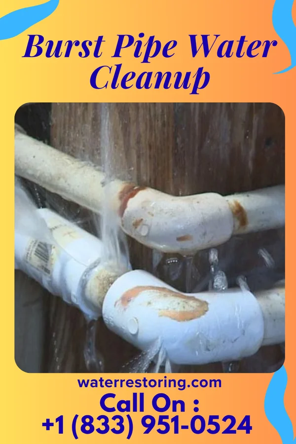 Burst Pipe Water Cleanup in East Massapequa, NY