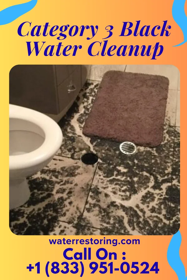 Category 3 Black Water Cleanup in East Massapequa, NY
