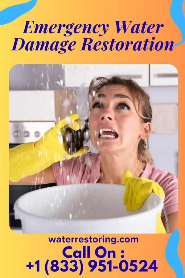Emergency Water Damage Restoration in East Massapequa, NY