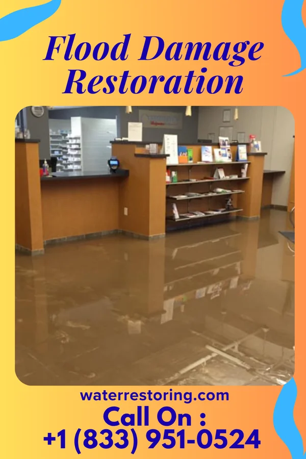Flood Damage Restoration in East Massapequa, NY
