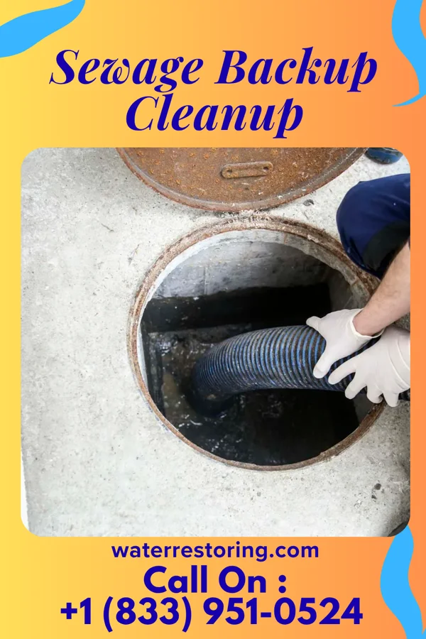 Sewage Backup Cleanup in East Massapequa, NY
